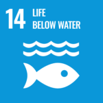 SDG icoon doel 14